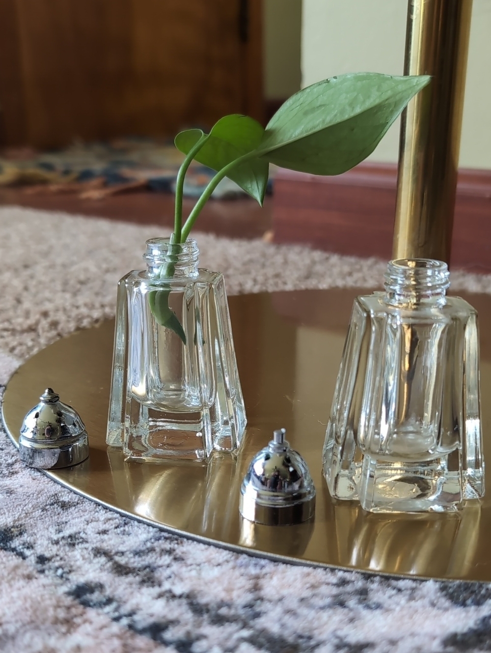 Salt and Pepper Shakers